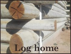 genuine log home