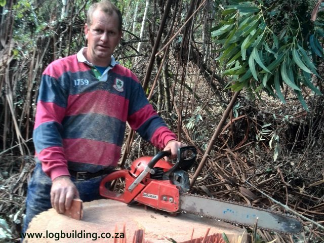 Roy standing next to a tree stump